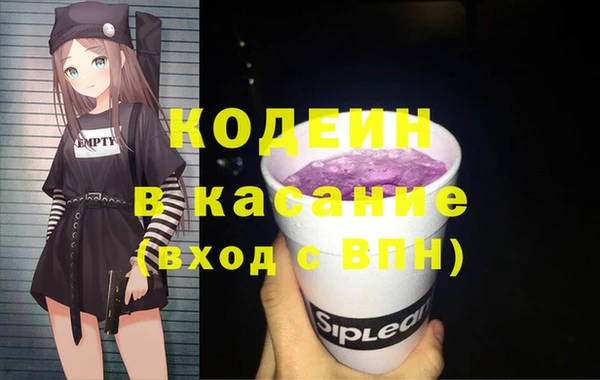 шишки Костерёво