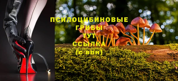 трава Кодинск