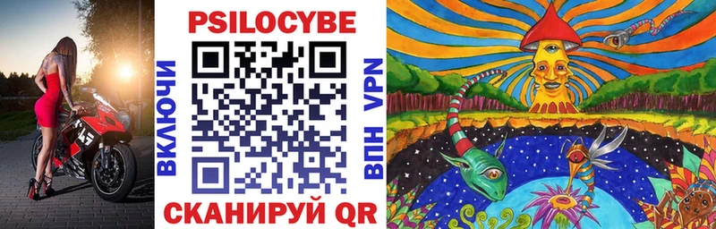 блэк спрут tor  Назрань  Галлюциногенные грибы Psilocybe 