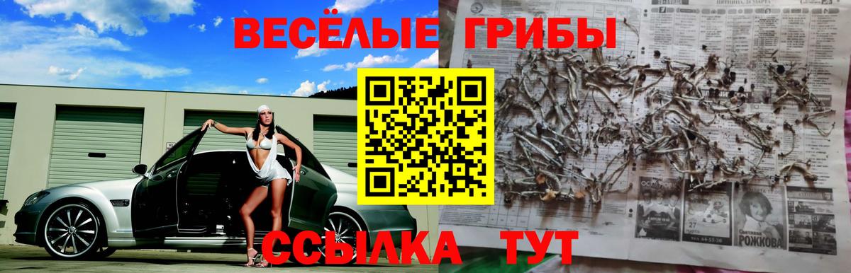 Псилоцибиновые грибы Psilocybine cubensis Назрань