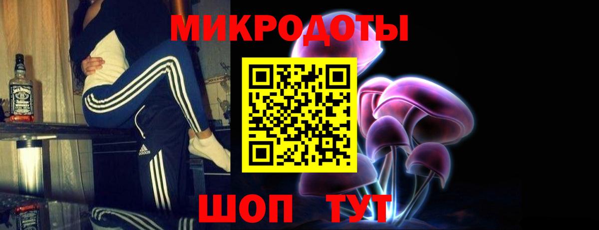 Псилоцибиновые грибы Psilocybe  Назрань 