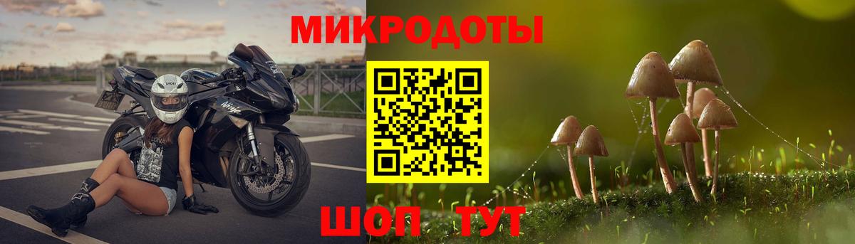 Галлюциногенные грибы Psilocybe  Вход с VPN  Назрань 
